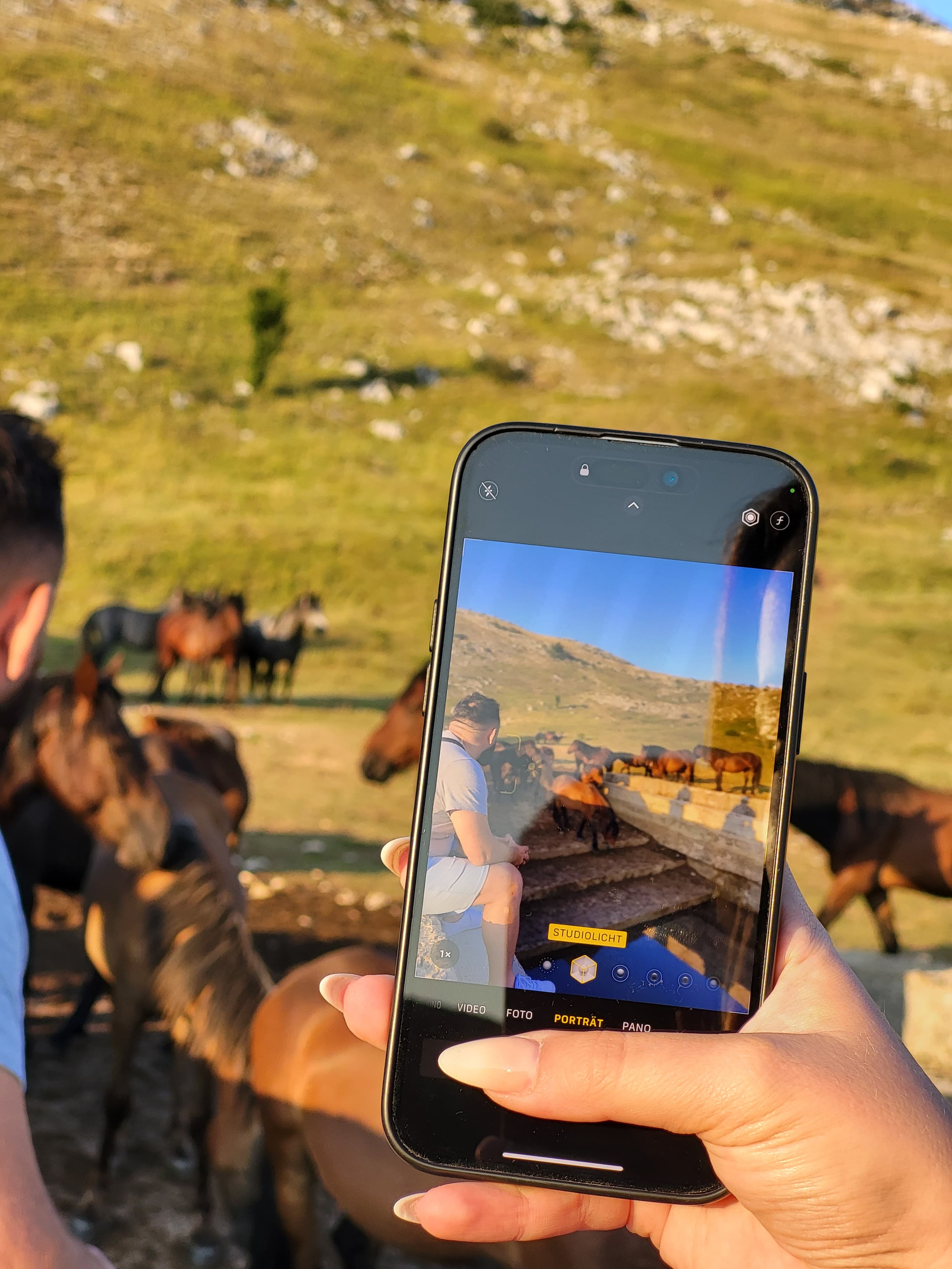 Divlji konji Livno, quad izleti